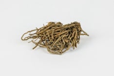 Valerian root